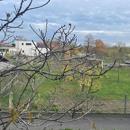 La Grange Proche D'Europapark Apartamento Kunheim Exterior foto