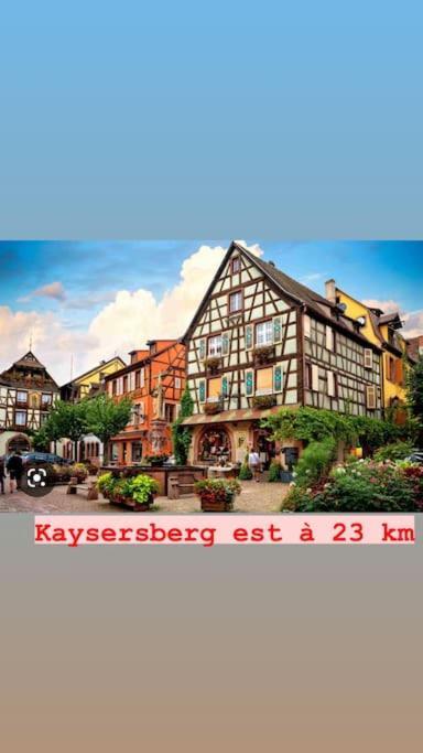 La Grange Proche D'Europapark Apartamento Kunheim Exterior foto