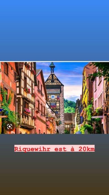 La Grange Proche D'Europapark Apartamento Kunheim Exterior foto