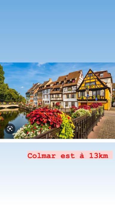 La Grange Proche D'Europapark Apartamento Kunheim Exterior foto